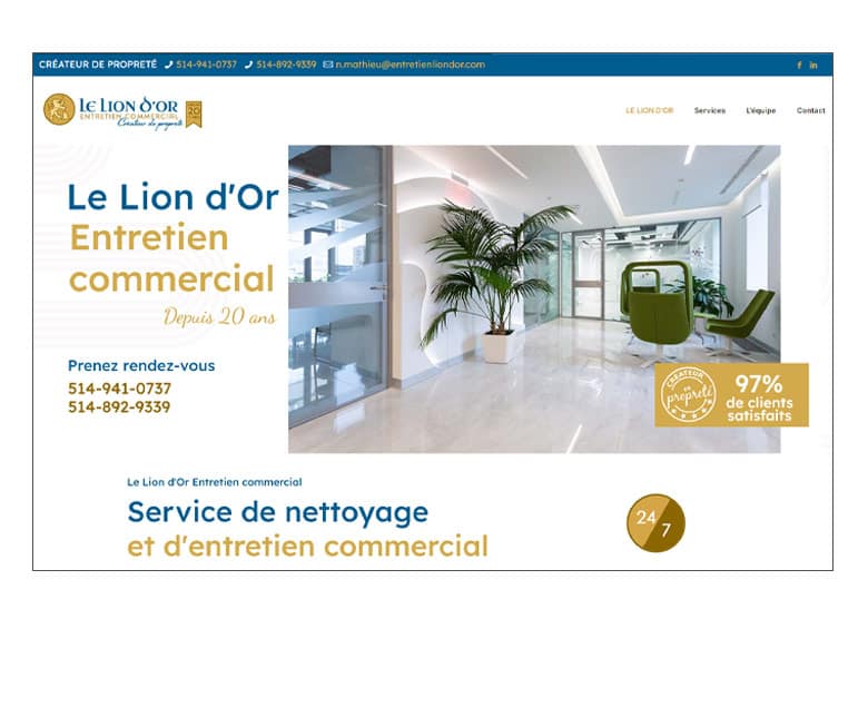 Lion D'or entretien ménager